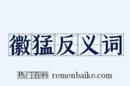 徽猛反义词是什么意思的图片